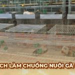 Hướng dẫn cách làm chuồng nuôi Gà Đá từ sư kê chuyên nghiệp
